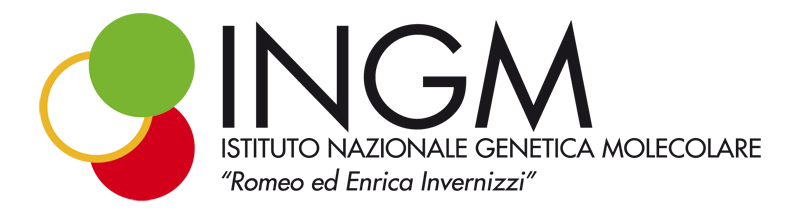 Logo_INGM_web