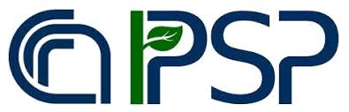 Logo_cnr_ipsp