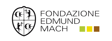 Logo_fem