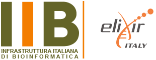 Logo_IIB